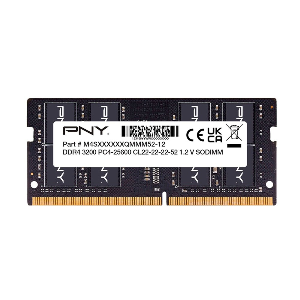 PNY Random Access Memory Series