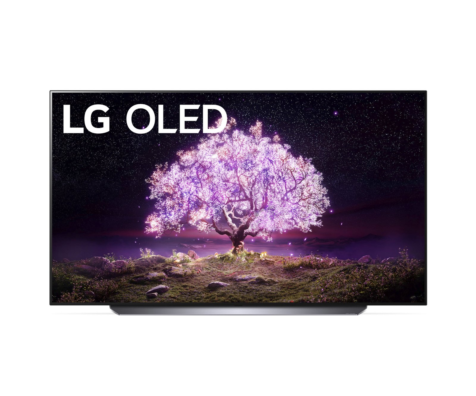 LG OLED Series (65 inches)