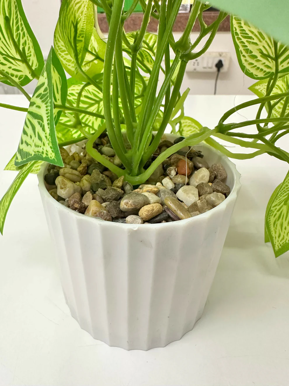 Variegated Nerve Leaf Artificial Plant in White Ribbed Pot