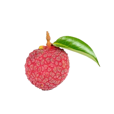 Lychee (Litchi)