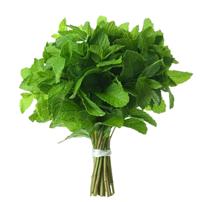 Mint Leaves (Pudina)