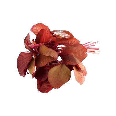 Red Amaranthus Leaves (Lal Chaulai)