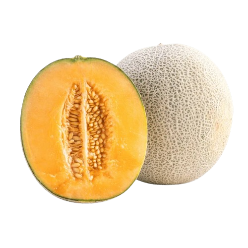  Muskmelon (Kharbooja)