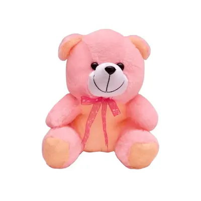 Plush Teddy Bear Soft Toy