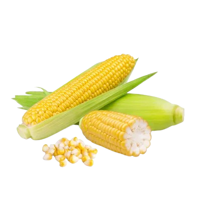 Corn Cob (Bhutta)