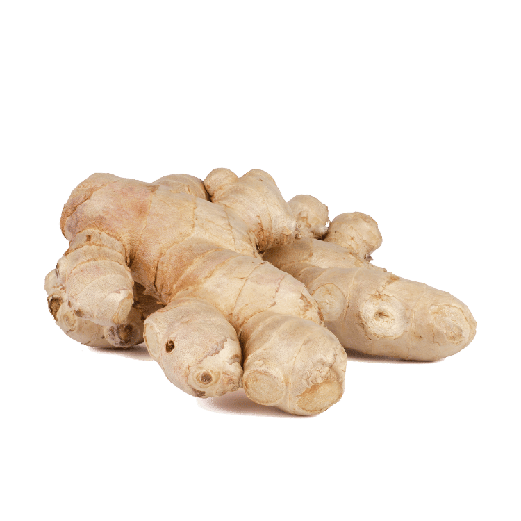 Ginger(Adarak)