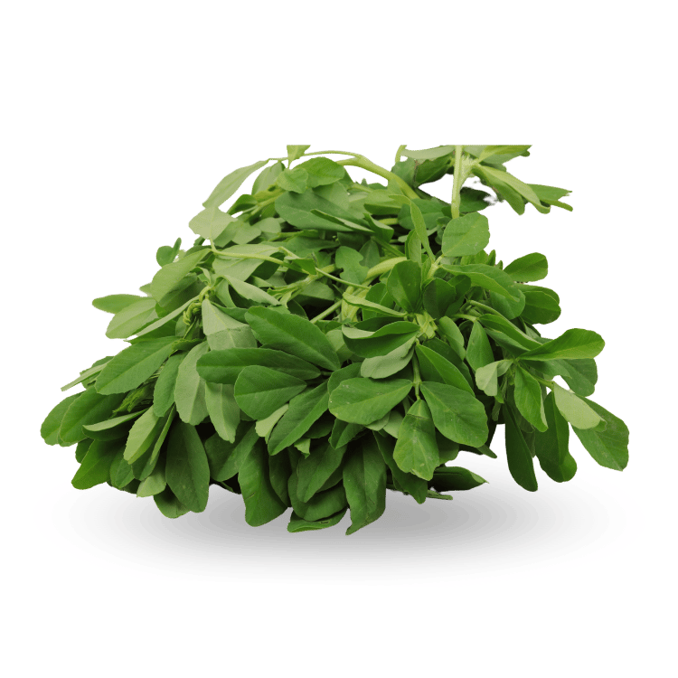 Fenugreek Leaves (Methi)
