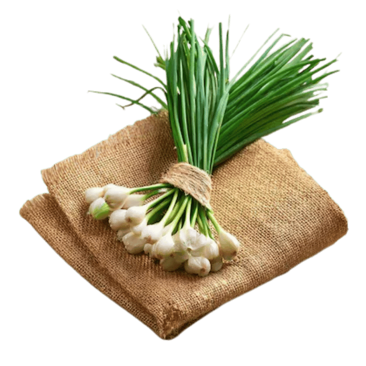 Green Garlic