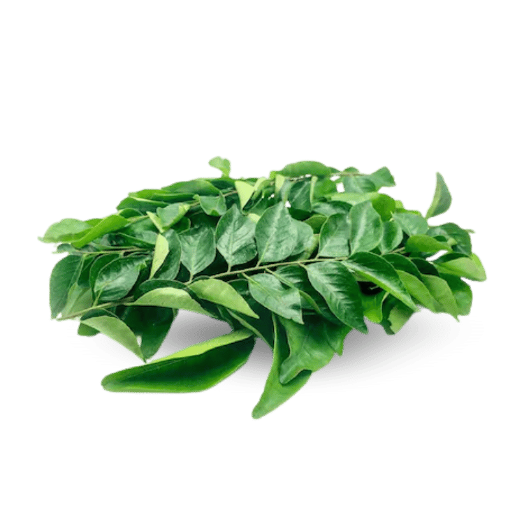 Curry Leaves (Kadi Patta)