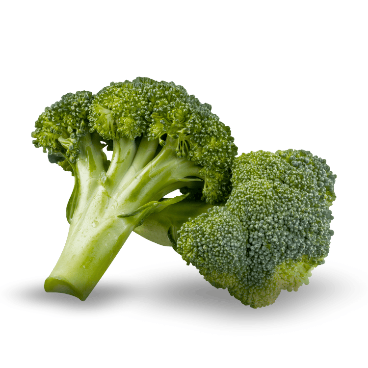 Broccoli