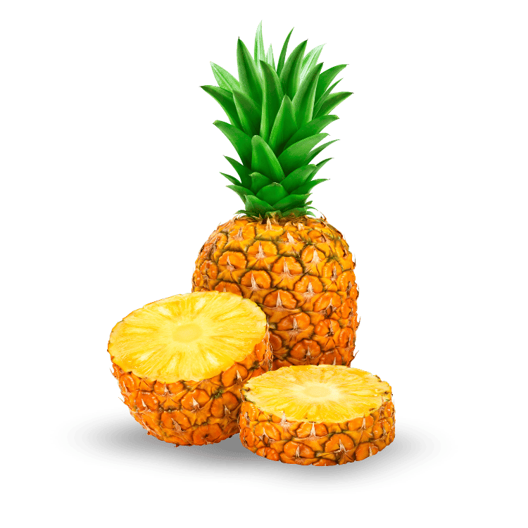 Pineapple (Ananas)