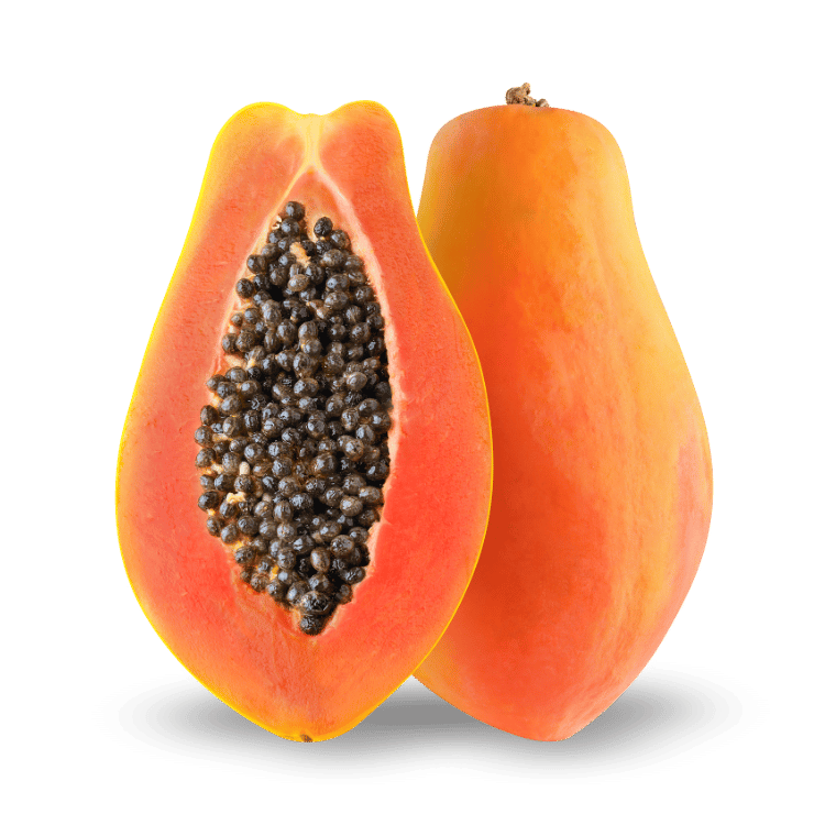 Papaya (Papita)