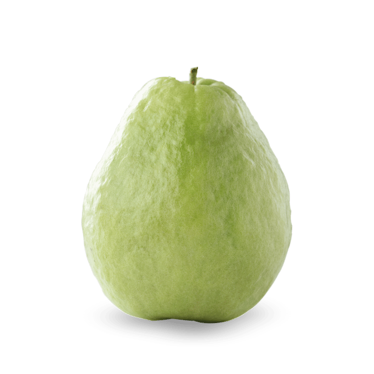 Guava (Amrood)
