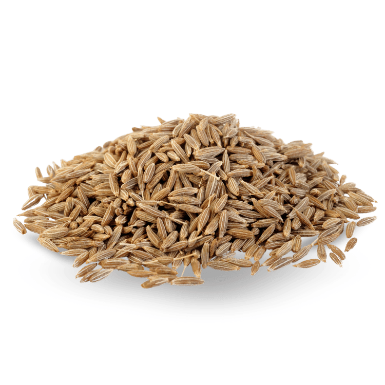 Cumin Seeds(Jeera)